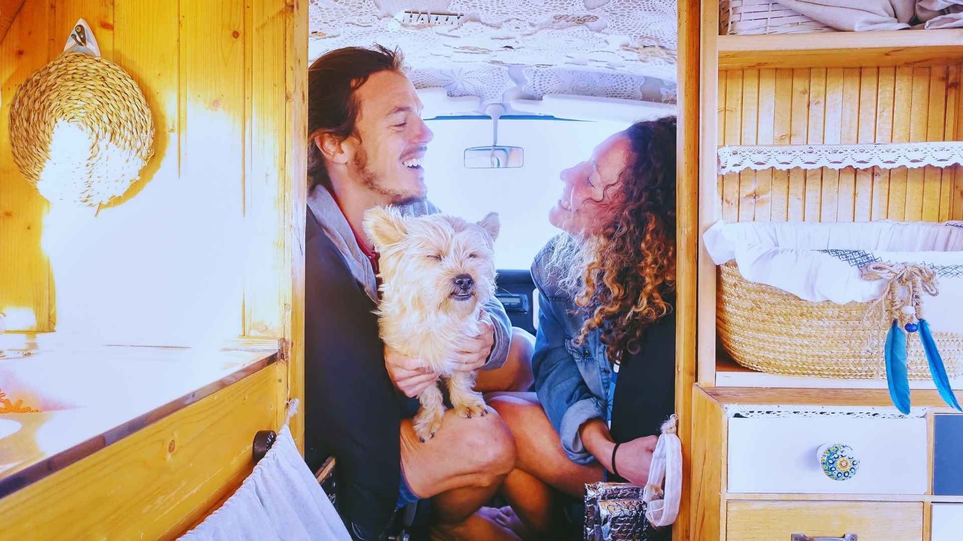 Viajar con perro en camper en agosto: seguridad y normativas